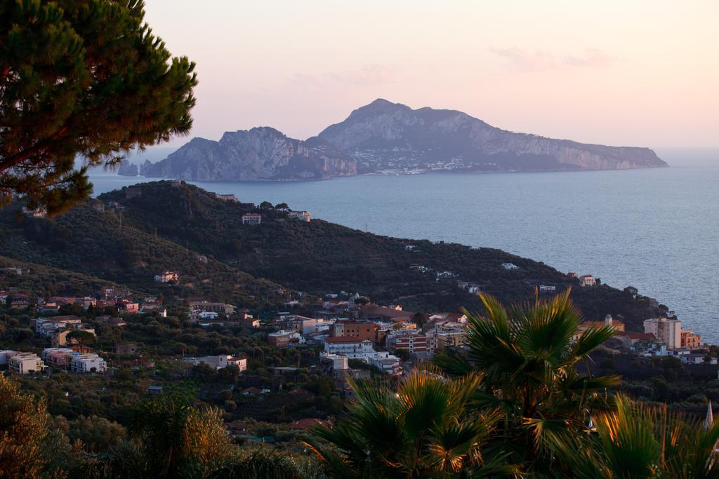 Villa Eliana Sorrento Kültér fotó